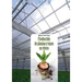 Producción de plantas y tepes en vivero