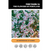 Odd Guide to the Flowers of Portland: An Interpretation of Flowers