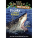 Sharks and Other Predators: A Nonfiction Companion to Magic Tree House Merlin Mission #25: Shadow of the Shark