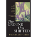 The Ground Has Shifted: The Future of the Black Church in Post-Racial America