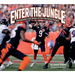 Enter the Jungle: Photographs and History of the Cincinnati Bengals