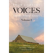 Four Corners Voices: Stories, Poetry, Essays - Volume 2