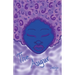 The Augur: Indigo
