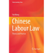 Chinese Labour Law: Theory and Practice