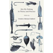 Dry-Fly Fishing - In Theory and Practice