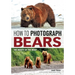 How to Photograph Bears: The Beauty of the Beast