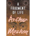 A Fragment of Life
