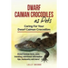Dwarf Caiman Crocodiles as Pets: Dwarf Caiman facts, care, breeding, nutritional information, tips, husbandry and more! Caring For Your Dwarf Caiman C