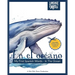 En el océano: My First Spanish Words - In The Ocean. An Early Development Immersion Language Learning Book for Budding Bilingual Bab