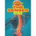 The Senses: An Owner's Guide