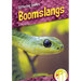 Boomslangs
