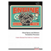 Diesel Spray and Mixture Formation Processes: Under Minimal Fuel Delivery Conditions
