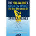 The Yellow Bird's Broken Wing: The Rise and Crisis of Spirit Airlines