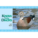 Know Your Ducks