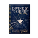 Divine & Here to Shine: Becoming Christlike with Bible Women: Becoming Christlike with Bible Women