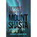 THE PORTALS AND UFOs OF MOUNT SHASTA