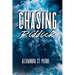 Chasing Riddick: Discreet/Alternative Cover