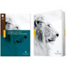 NLT Courage for Life Study Bible for Men, Filament Enabled (Hardcover)