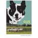 Gus: One Woman's Champion