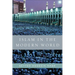 Islam in the Modern World