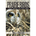 Prairie Birds: Fragile Splendor in the Great Plains