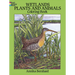 Wetlands Plants and Animals Coloring Book