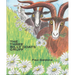 The Three Billy Goats Gruff