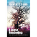A Loose Rendering: Time, Memory, and Other Considerations: Memory