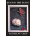 Beyond the Brain: Birth, Death, and Transcendence in Psychotherapy