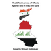 The Effectiveness of Efforts Against ISIS in Iraq and Syria