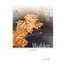 Walden by Haiku