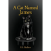 A Cat Named James