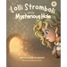Lolli Stromboli and the Mysterious Hole