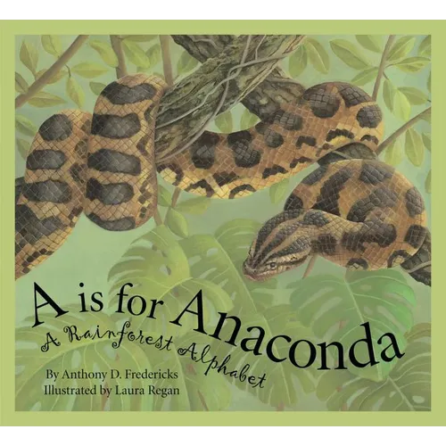 A is for Anaconda: A Rainforest Alphabet