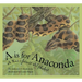 A is for Anaconda: A Rainforest Alphabet