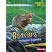 Beavers: Freshwater Engineers