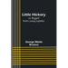 Little Hickory; or, Ragged Rob's young republic