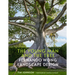 The Young Man and the Tree: Fernando Wong Landscape Design--Explore the Stunning Private Tropical Gardens Created by Award-Winning Landscape Designer