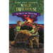 Time of the Turtle King