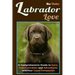Labrador Love: A Comprehensive Guide to Care, Communication, and Adventures with Your Loyal Companion - From Labrador Retriever Origins to Training an