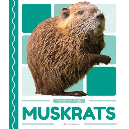 Muskrats