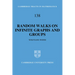 Random Walks on Infinite Graphs and Groups