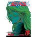 Bleach, Vol. 70: Friend