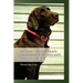 Kodiak ... A Chocolate Labrador Retriever and my best friend