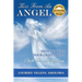 Kiss From An Angel - How to Turn Your Grief into A Gift from Heaven