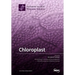 Chloroplast