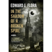 In The Shadow Of A Broken Spire