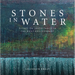 Stones in Water: Essays on Inheritance in the Built Environment