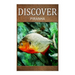 Piranha - Discover: Early reader's wildlife photography book