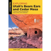 Exploring Utah's Bears Ears and Cedar Mesa: A Guide to Hiking, Backpacking, Scenic Drives, and Landmarks